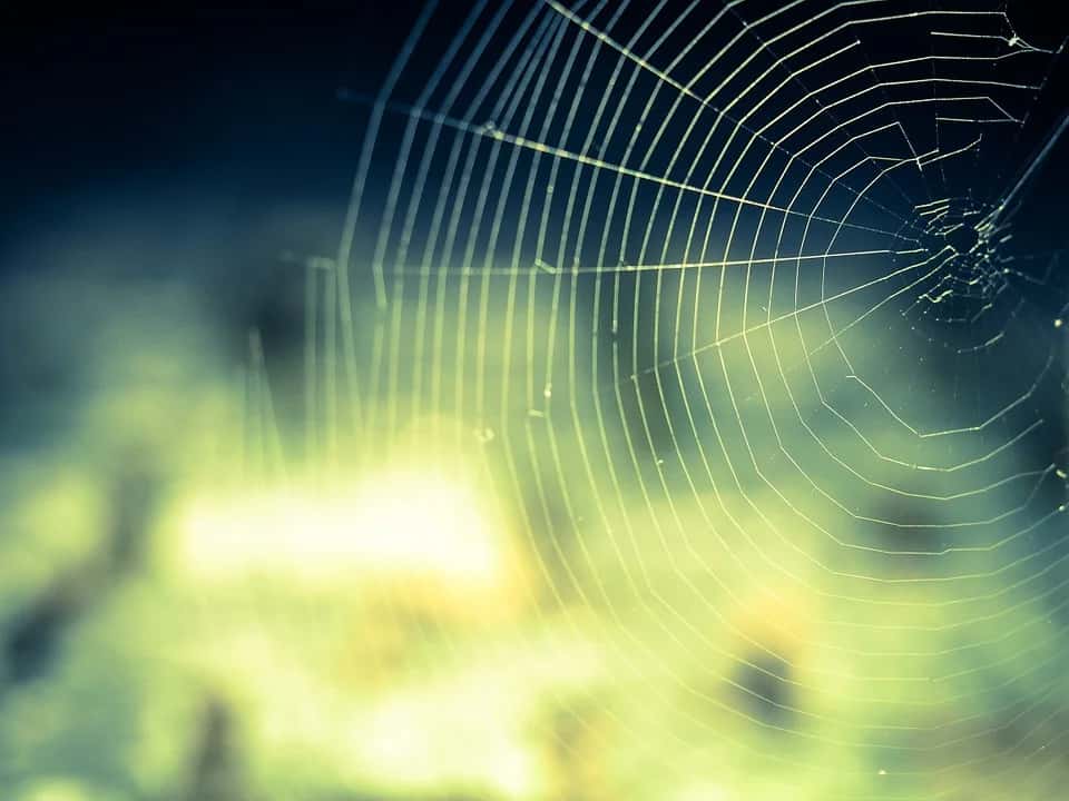 Introduction to Web-Scraping in Python