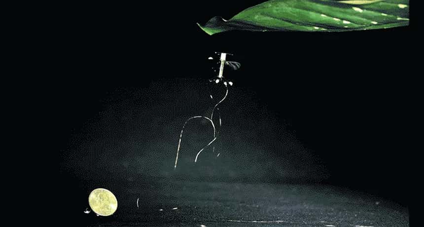 Harvard's Tiny RoboBee Is Exactly Like The Scary Bees From Black Mirror