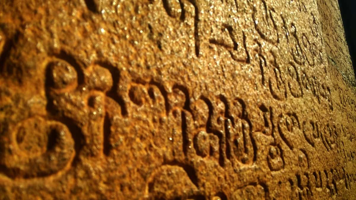 Why Are Some Languages Harder To Learn For AI?