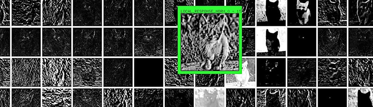 Why Convolutional Neural Networks Are The Go-To Models In Deep Learning