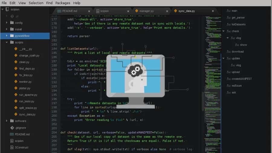 Can Learning Python Alone Lead To A Viable Data Science Career Path?