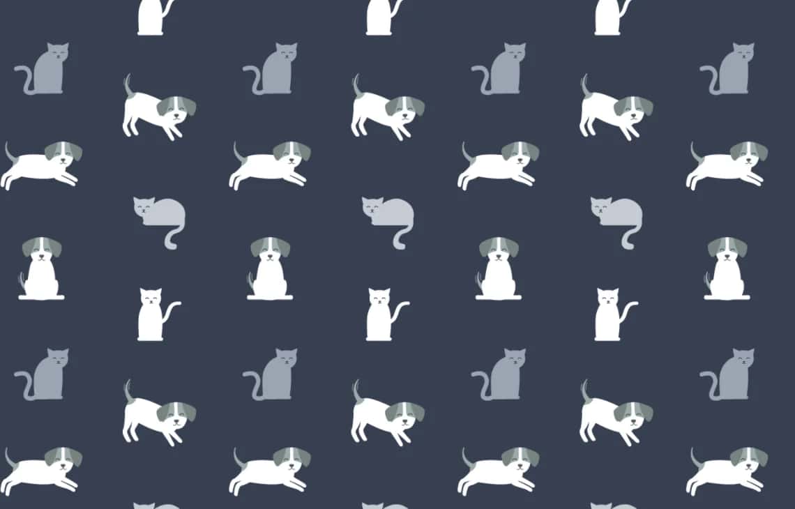 MachineHack Launches New Hackathon, Take The Pet Breed Classification Challenge