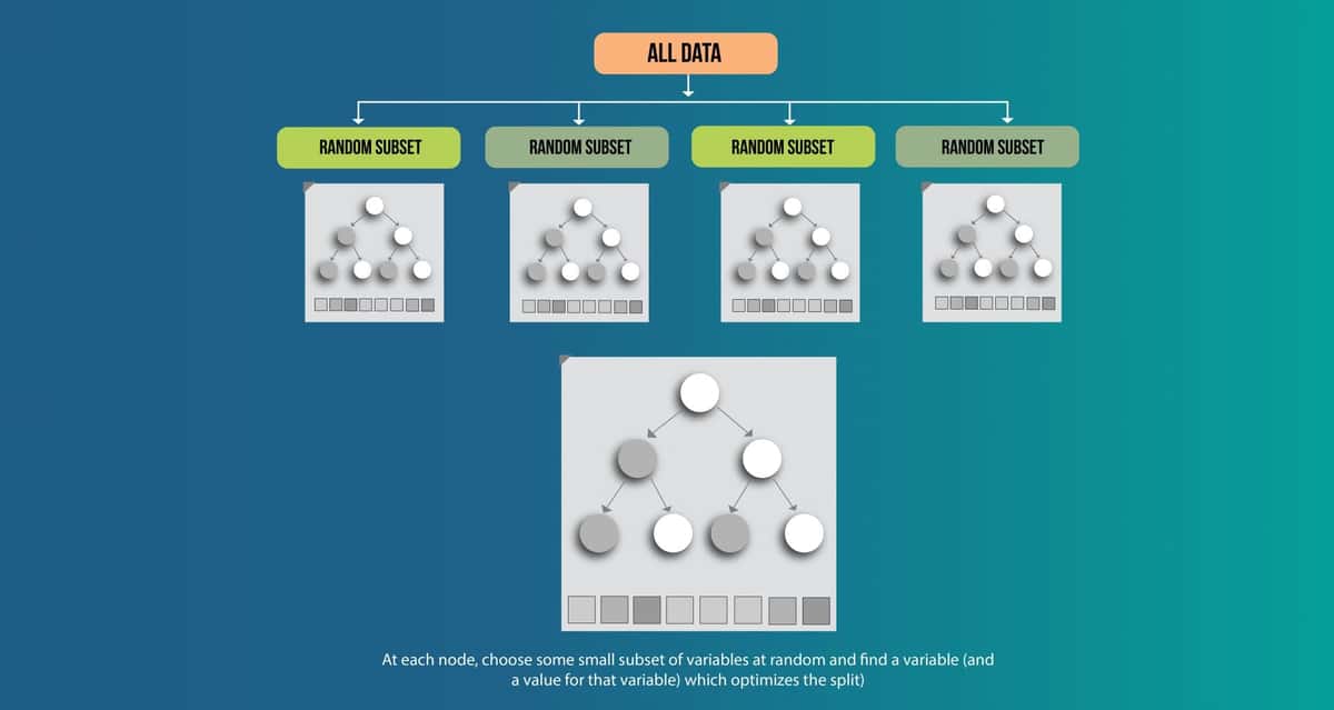 Machine Learning Algorithms machine learning algorithms