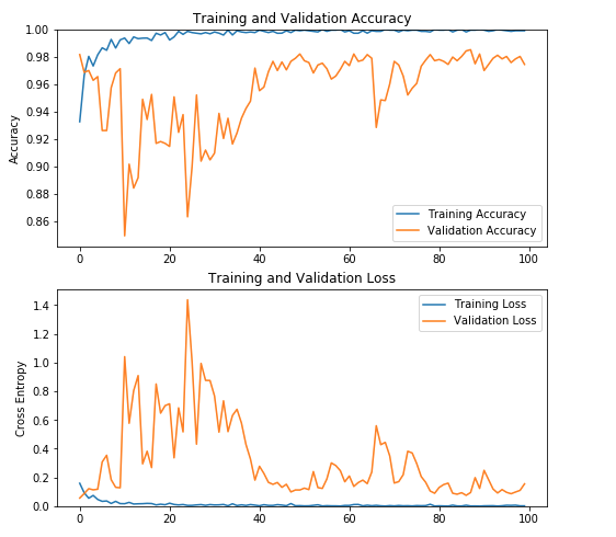 A practical Guide To Implement Transfer Learning: MobileNet V2 In TensorFlow